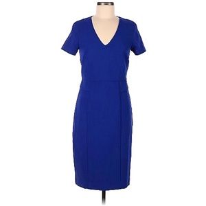 Rich Blue Harper Rose Dress 12